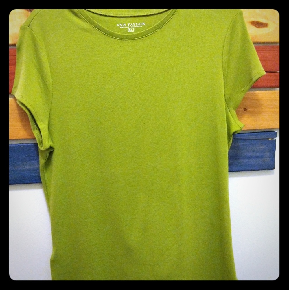 Ann Taylor XL Green Short Sleeve T-Shirt